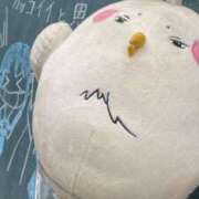 ヒメ日記 2025/09/02 20:00 投稿 にゃん☆ニャンとも可愛い JKサークル