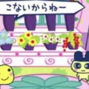 ヒメ日記 2025/09/10 20:30 投稿 にゃん☆ニャンとも可愛い JKサークル