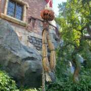 ヒメ日記 2025/10/03 23:31 投稿 にゃん☆ニャンとも可愛い JKサークル