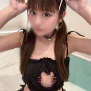 ヒメ日記 2025/10/14 21:30 投稿 にゃん☆ニャンとも可愛い JKサークル