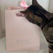 ヒメ日記 2025/10/16 00:30 投稿 にゃん☆ニャンとも可愛い JKサークル