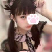 ヒメ日記 2025/11/06 22:30 投稿 にゃん☆ニャンとも可愛い JKサークル