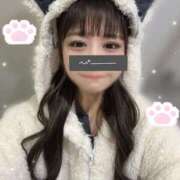 ヒメ日記 2025/11/29 00:00 投稿 にゃん☆ニャンとも可愛い JKサークル