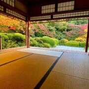 ヒメ日記 2025/11/29 20:01 投稿 にゃん☆ニャンとも可愛い JKサークル