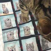 ヒメ日記 2025/12/01 19:01 投稿 にゃん☆ニャンとも可愛い JKサークル