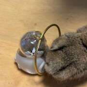 ヒメ日記 2025/12/03 22:45 投稿 にゃん☆ニャンとも可愛い JKサークル