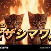 ヒメ日記 2025/12/10 22:15 投稿 にゃん☆ニャンとも可愛い JKサークル