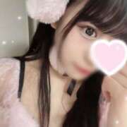 ヒメ日記 2025/12/12 21:45 投稿 にゃん☆ニャンとも可愛い JKサークル