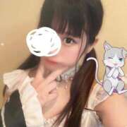 ヒメ日記 2025/12/31 00:45 投稿 にゃん☆ニャンとも可愛い JKサークル