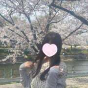 ヒメ日記 2026/02/11 15:02 投稿 にゃん☆ニャンとも可愛い JKサークル