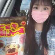 ヒメ日記 2026/02/24 12:05 投稿 にゃん☆ニャンとも可愛い JKサークル