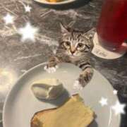 ヒメ日記 2026/02/28 00:00 投稿 にゃん☆ニャンとも可愛い JKサークル