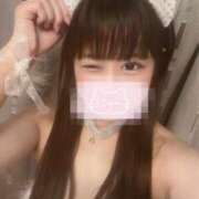 ヒメ日記 2026/03/02 07:15 投稿 にゃん☆ニャンとも可愛い JKサークル