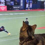 ヒメ日記 2026/03/03 19:26 投稿 にゃん☆ニャンとも可愛い JKサークル