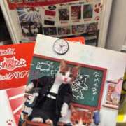 ヒメ日記 2026/03/04 00:01 投稿 にゃん☆ニャンとも可愛い JKサークル