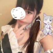 ヒメ日記 2026/03/14 00:01 投稿 にゃん☆ニャンとも可愛い JKサークル