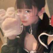 ヒメ日記 2026/03/14 07:45 投稿 にゃん☆ニャンとも可愛い JKサークル