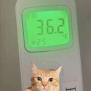 ヒメ日記 2026/03/18 10:46 投稿 にゃん☆ニャンとも可愛い JKサークル