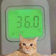 ヒメ日記 2026/03/20 10:53 投稿 にゃん☆ニャンとも可愛い JKサークル