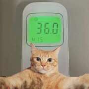 ヒメ日記 2026/03/21 10:47 投稿 にゃん☆ニャンとも可愛い JKサークル