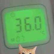 ヒメ日記 2026/03/25 10:49 投稿 にゃん☆ニャンとも可愛い JKサークル