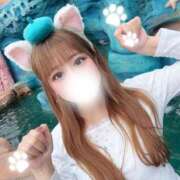 ヒメ日記 2026/03/29 19:30 投稿 にゃん☆ニャンとも可愛い JKサークル