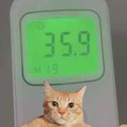 ヒメ日記 2026/04/01 10:46 投稿 にゃん☆ニャンとも可愛い JKサークル