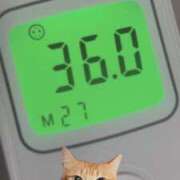 ヒメ日記 2026/04/03 10:48 投稿 にゃん☆ニャンとも可愛い JKサークル