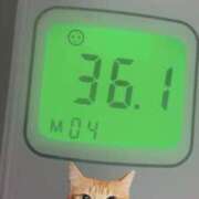 ヒメ日記 2026/04/04 10:51 投稿 にゃん☆ニャンとも可愛い JKサークル