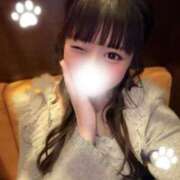 ヒメ日記 2026/04/13 23:01 投稿 にゃん☆ニャンとも可愛い JKサークル