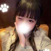 にゃん☆ニャンとも可愛い おやすみ😴 JKサークル