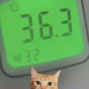 ヒメ日記 2026/04/24 11:42 投稿 にゃん☆ニャンとも可愛い JKサークル