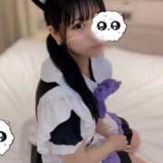 ヒメ日記 2026/05/01 22:03 投稿 にゃん☆ニャンとも可愛い JKサークル