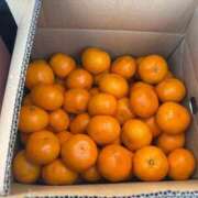 おと 毎年恒例のみかん！！ 桃色奥様 松戸本店