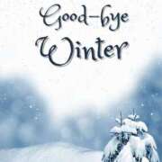 ヒメ日記 2025/03/19 14:13 投稿 綱島 熟女の風俗最終章 新横浜店