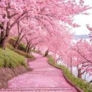 ヒメ日記 2025/03/30 06:56 投稿 綱島 熟女の風俗最終章 新横浜店