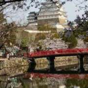 ヒメ日記 2025/04/06 14:06 投稿 綱島 熟女の風俗最終章 新横浜店