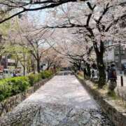 ヒメ日記 2025/04/13 14:11 投稿 綱島 熟女の風俗最終章 新横浜店