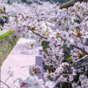 ヒメ日記 2025/04/14 18:12 投稿 綱島 熟女の風俗最終章 新横浜店