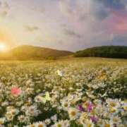 ヒメ日記 2025/05/02 19:36 投稿 綱島 熟女の風俗最終章 新横浜店