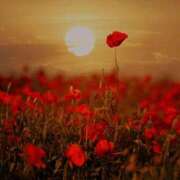 ヒメ日記 2025/05/11 13:56 投稿 綱島 熟女の風俗最終章 新横浜店