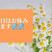 ヒメ日記 2025/06/19 16:19 投稿 綱島 熟女の風俗最終章 新横浜店