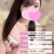 ヒメ日記 2025/02/20 17:01 投稿 ツバサ ラブコレクション