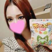 ヒメ日記 2025/10/13 01:01 投稿 ツバサ ラブコレクション