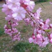 ヒメ日記 2026/04/10 14:46 投稿 ツバサ ラブコレクション