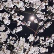 ヒメ日記 2025/04/14 15:31 投稿 小川舞弥 HANABI(福富町)