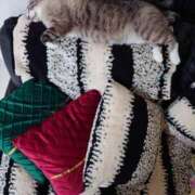 ヒメ日記 2025/11/30 10:27 投稿 北村りの アラフォーna奥様 アラフィフna奥様（埼玉ハレ系）