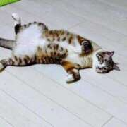 北村りの おはにゃん アラフォーna奥様 アラフィフna奥様（埼玉ハレ系）