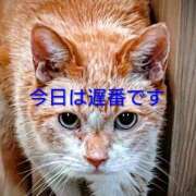 ヒメ日記 2025/12/19 15:40 投稿 北村りの アラフォーna奥様 アラフィフna奥様（埼玉ハレ系）