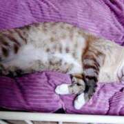 ヒメ日記 2026/02/09 07:16 投稿 北村りの アラフォーna奥様 アラフィフna奥様（埼玉ハレ系）